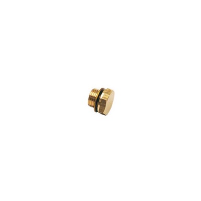 HEX HEAD PLUG - BRASS PK0