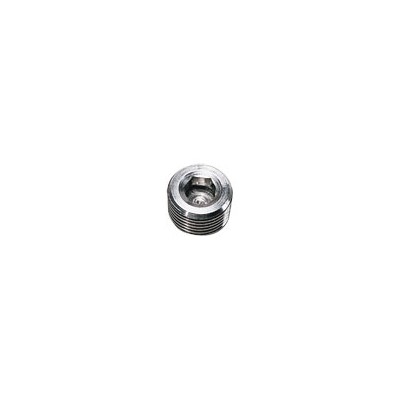 HEX HEAD PLUG - INTERNAL PK0