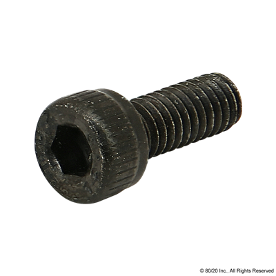 M4 X 10mm SHCS [BLACK]