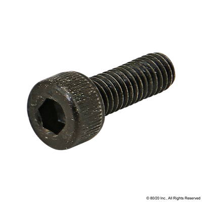 M4 X 12mm SHCS [BLACK]