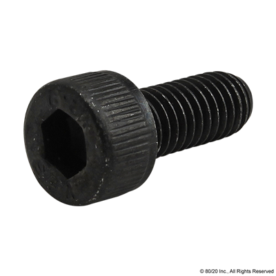 M5 X 12mm SHCS [BLACK]