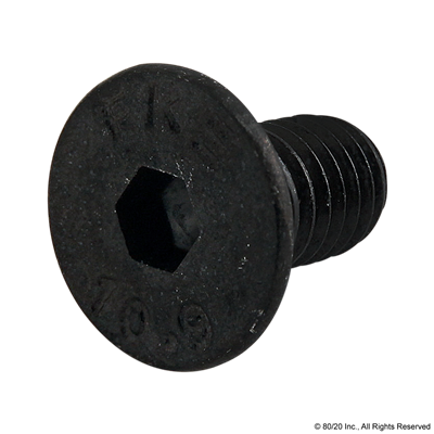 M5 X 10mm FHSCS [BLACK]