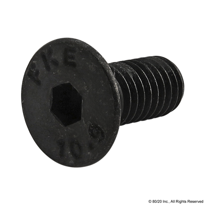 M5 X 12mm FHSCS [BLACK]