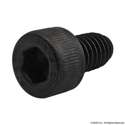 M6 X 10mm SHCS [BLACK]