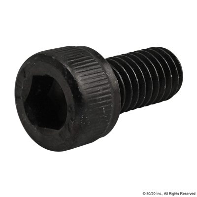 M6 X 12mm SHCS [BLACK]