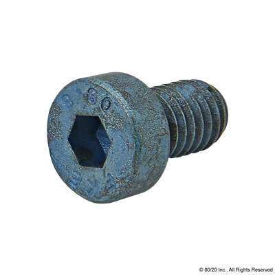 M6 X 10mm LHSCS [BLUE]