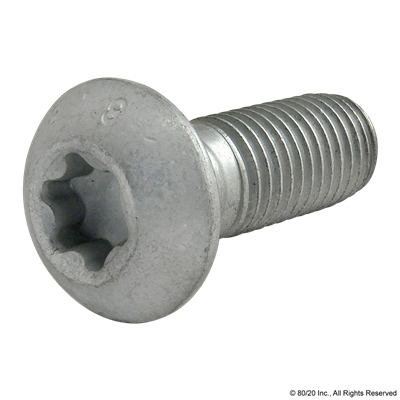 SELF THREADING SCREW WITH TORQUE HEAD