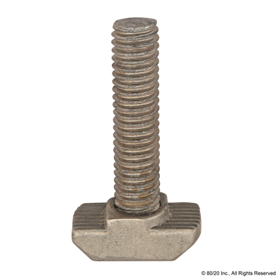 HAMMERHEAD SCREW M6X25  SLOT 8  STAINLE