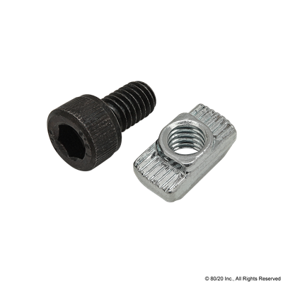 M6 X 10MM SHCS W/ T-NUT