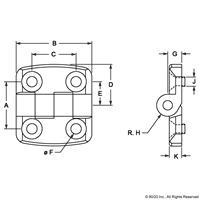 PLASTIC HINGE 20  STAINLESS STEEL BOLT