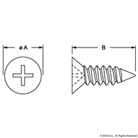 25 S #8 X 3/8 S/S BEARING PAD SCREW