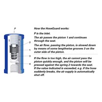 HOSEGUARD 2IN  F/F -NPT